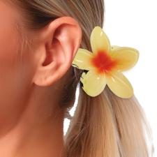 Accessoires pour cheveux