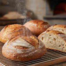 Format Boulangerie-Pâtisserie