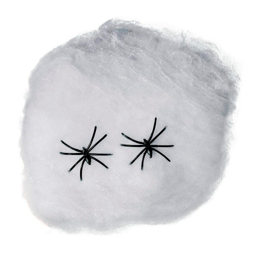Toile d'araignée blanche de 20 g