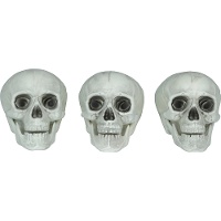 Crânes décoratifs classiques - lot de 3