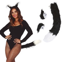 Ensemble d'accessoires de lynx