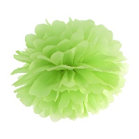 Suspension ronde pompon de 25 cm - 1 unité