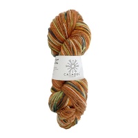 Fil à chaussette 100 gr - Casasol
