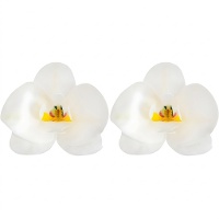 Fleurs d'orchidée en azyme 8,5 x 7,5 cm - Dekora - 10 unités