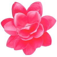 Oblea de flor de galleta de 13 cm - Dekora - 1 unidad