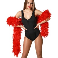 Boa en plumes de 100 g