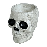 Bol de Crâne de 15 x 12 cm