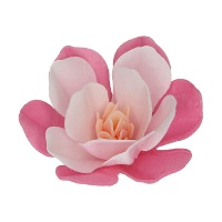 Galette de fleurs de magnolia de tailles assorties - FunCakes - 6 unités