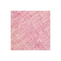 Serviettes compostables de 16,5 x 16,5 cm - 20 unités