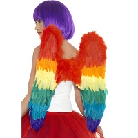 Ailes en plumes multicolores - 60 x 60 cm