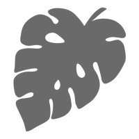 Emporte-pièce de feuille tropicale - Artemio