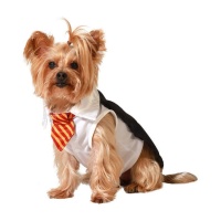 Costume d'étudiant magicien Harry pour chien