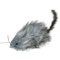 Rat gris touffu de 16 cm