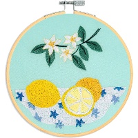 Kit de broderie - Citrons - DMC