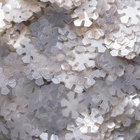 Paillettes de flocons de neige en poudre de 1 g - PME