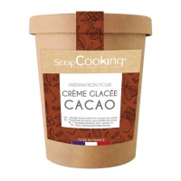 Préparation pour crème glacée au cacao de 185 g - Scrapcooking