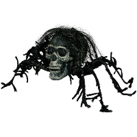 Crâne araignée de 38 cm