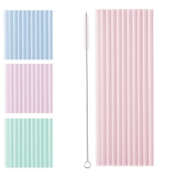 Pailles en plastique réutilisables de 23 cm - 12 unités