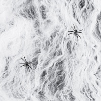 Toile blanche avec deux araignées noires de 200 g