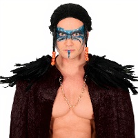 Épaulettes en plumes - lot de 2