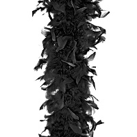 Boa en plumes de 45 g