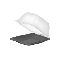 Boîte à fromage rectangulaire en plastique - 1 unité