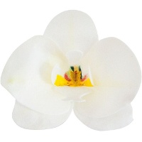 Gaufrettes de fleurs d'orchidées de 8,5 x 7,5 cm - Dekora - 10 unités